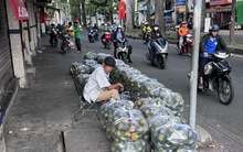 Nắng nóng, cam sành "giải cứu" tăng giá