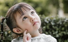 Nhóm máu ảnh hưởng đến chỉ số IQ của trẻ? Bảng xếp hạng IQ theo 4 nhóm máu, xem con bạn xếp thứ mấy