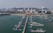 Quảng Ninh vừa ghi nhận chuyện lần đầu tiên xuất hiện trong lịch sử