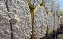 Hàng trăm nghìn tấn 'vàng trắng' từ Mỹ đổ bộ Việt Nam với giá cực rẻ: Thuế nhập khẩu 5%, nước ta tiêu thụ 1,5 triệu tấn/năm