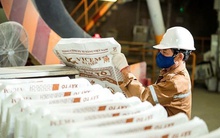 Doanh nghiệp ngành xi măng kinh doanh ra sao trong quý đầu năm 2025