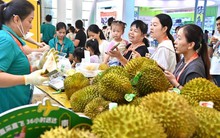 Quốc gia hàng đầu khu vực e ngại sự trỗi dậy của nông sản Việt Nam