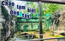 Xúc động lễ chia tay “ông” hổ Tây ở Thảo Cầm Viên Sài Gòn