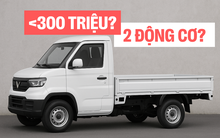 Dự đoán xe tải điện VinFast: Giá dưới 300 triệu đồng thì 'Su cóc đắp chiếu', đầu VF 3 nhưng chạy như VF 5 với 2 động cơ?