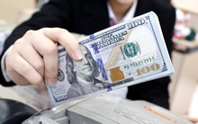 Dự báo mới nhất về giá USD