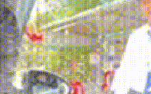 NÓNG: Chủ tịch tỉnh An Giang yêu cầu tháo dỡ những trạm thu phí không phù hợp ở Núi Sam