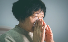 Làm bảo mẫu 15 năm trong biệt thự 500m2, ngày nghỉ việc, tôi nhận được 1 món quà: Chẳng phải tiền hay vàng, thứ bên trong không ai ngờ đến