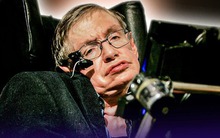 Stephen Hawking và bài học về trí thông minh: Vì sao ông chưa bao giờ nói về chỉ số IQ của mình?