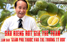 Sầu riêng rớt giá thê thảm, làm sao ‘giảm phụ thuộc vào thị trường tỷ USD’?