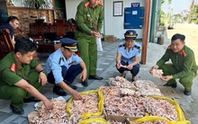 Kiểm tra đột xuất công ty thực phẩm sạch, phát hiện 500 kg chân gà, đuôi lợn không rõ nguồn gốc