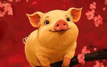 Nửa cuối tháng 5 Dương lịch, 4 con giáp thời tới cản không kịp, vận số đỏ rực, phất lên sự nghiệp lẫn tiền tài