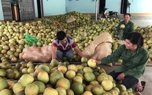 Thị trường khó tính nhất thế giới sắp mở cửa cho loại quả 'bá vương' của Việt Nam, chất lượng hàng đầu khiến Thứ trưởng Bộ Nông nghiệp Mỹ cũng phải khen