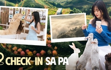 Mùa hè trốn nắng nóng rủ nhau đi chơi ở Sa Pa và đây là những địa điểm check-in kiểu gì cũng có ảnh đẹp!