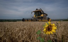 Chịu áp lực nội bộ, EU sắp có động thái khiến Ukraine hứng cú sốc kinh tế nghiêm trọng