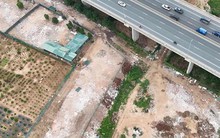 Chủ tịch Hà Nội yêu cầu xử lý nghiêm các đối tượng san lấp đất nông nghiệp, xây dựng trái phép tại bãi bồi sông Hồng