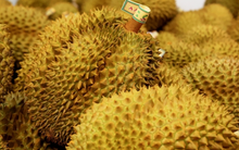 Không phải Thái Lan, một loại sầu riêng của láng giềng Việt Nam đang được săn đón: Được đại sứ Trung Quốc khen ngợi ‘ngon nhất thế giới’