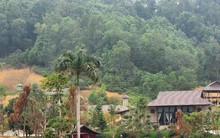 Chủ tịch Hà Nội yêu cầu khẩn trương xử lý vụ lấn chiếm đất rừng xây khu nghỉ dưỡng tại Thạch Thất