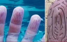 Vì sao ngón tay nhăn nheo khi ngâm nước?