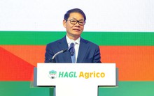 Lỗ lũy kế gần 10.000 tỷ, HAGL Agrico khi nào hết lỗ?