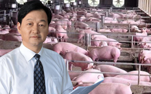 Chỉ nuôi lợn, người đàn ông vào top 200 người giàu nhất thế giới: Quá trình bỏ phố khởi nghiệp khó tin