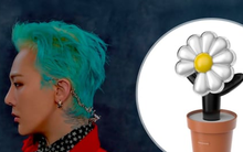Chiếc lightstick của G-Dragon có gì mà fan Việt sẵn sàng chi 10 triệu để sở hữu?
