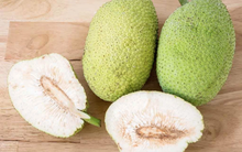 Loại quả đã khiến bao người dở khóc dở cười vì hình thù trông giống mít nhưng không phải, bù lại là có thể chế biến thành khối món ngon