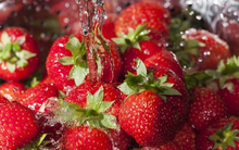 Bác sĩ Mỹ chỉ cách “tiêu diệt” thuốc trừ sâu và chất bẩn trong hoa quả, chỉ vài bước mà bớt bệnh cho gia đình