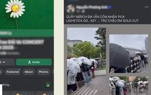 “Săn” vé concert G-Dragon: Đừng để niềm vui âm nhạc trở thành cú lừa bạc triệu