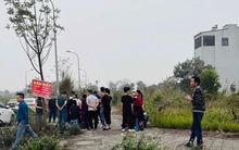 Xuất hiện tình trạng đất nền tăng nhanh cục bộ ở một số địa phương Bắc Giang, Phú Thọ, Ninh Bình, Thái Bình, Hưng Yên, Hải Phòng, Đồng Nai...