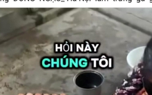 Hiệp hội Gia cầm Việt Nam lên tiếng về thông tin "trứng gà giả"