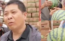 Nghề lạ “chụp X-quang” cho trái cây, kiếm hàng chục triệu/tháng