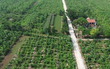 Hà Nội: Rút gọn quy trình về đất đai và không thu phí để xóa nhà tạm, nhà dột nát