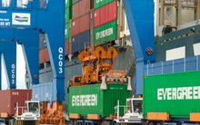 Nhóm cựu lãnh đạo chi cục hải quan nhận hối lộ để giúp thông quan hàng hóa trị giá 1.800 tỷ