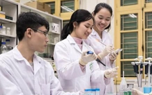 Học phí các trường Y Dược tăng cao trong năm 2025