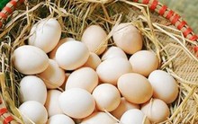 Thực hư thông tin trứng gà ‘lạ’