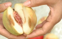 3 loại thực phẩm để lâu trong tủ lạnh có thể là “đồng phạm” gây ung thư dạ dày