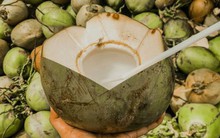 Loại nông sản "tỉ đô" của Việt Nam được Mỹ, Trung Quốc tăng mua mạnh: Cực tốt cho miễn dịch lại phòng sỏi thận