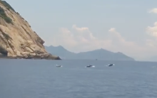 CLIP: Đàn cá heo tung tăng bơi lội giữa vịnh Nha Trang