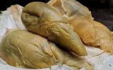 Chân dung giống sầu riêng quý hiếm đang gây sốt khắp châu Á: Múi màu xanh độc lạ, hơn 700.000 đồng/kg, sắp có mặt trên kệ vào tháng 6