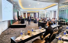 DCDE chia cổ tức tiền mặt 2 năm liên tiếp, DCDS tập trung cơ cấu danh mục