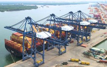 Cảng biển Việt Nam đón thành công một siêu tàu đang trên hải trình đến Bờ Tây Hoa Kỳ