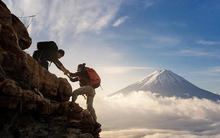 Loạt cổ phiếu Bluechips lấy lại "phong độ", âm thầm vượt đỉnh bất chấp VN-Index vẫn loay hoay quanh mốc 1.200