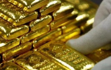 Tịch thu 7 kg vàng trị giá hơn 21 tỷ đồng trên xe vận chuyển táo