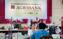 Muốn chuyển khoản tiền "mua nhà cho con", ông cụ đến ngân hàng yêu cầu rút sổ tiết kiệm gần 7 tỷ: Nhân viên Agribank hành động kịp thời