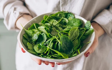 Việt Nam có loại rau rẻ tiền, dễ mua nhưng lại rất giàu sắt và giúp giải nhiệt, bổ máu, đẹp da trong những ngày oi bức