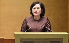 Thống đốc Nguyễn Thị Hồng: Nợ xấu của hệ thống tín dụng hiện ở mức cao, có xu hướng gia tăng, tạo áp lực lớn cho lĩnh vực ngân hàng