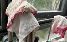 Nói thật: 5 vật dụng nhà bếp nhà nào cũng có là "ổ vi khuẩn" nên vứt ngay