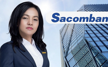 Bà Nguyễn Đức Thạch Diễm viết tâm thư rời vị trí CEO Sacombank