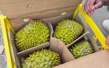 Sầu riêng vừa đón tin vui từ Trung Quốc