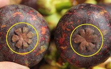 4 mẹo "nhìn phát biết ngay" măng cụt ngọt đậm, vỏ mỏng, nhiều múi, mua 1000 lần đều thành công!